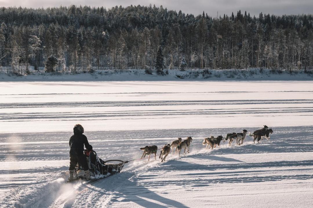 Photo of Others in Rovaniemi