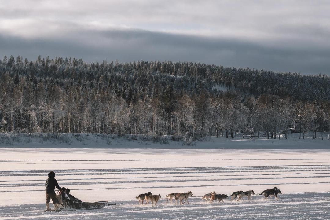 Photo of Others in Rovaniemi