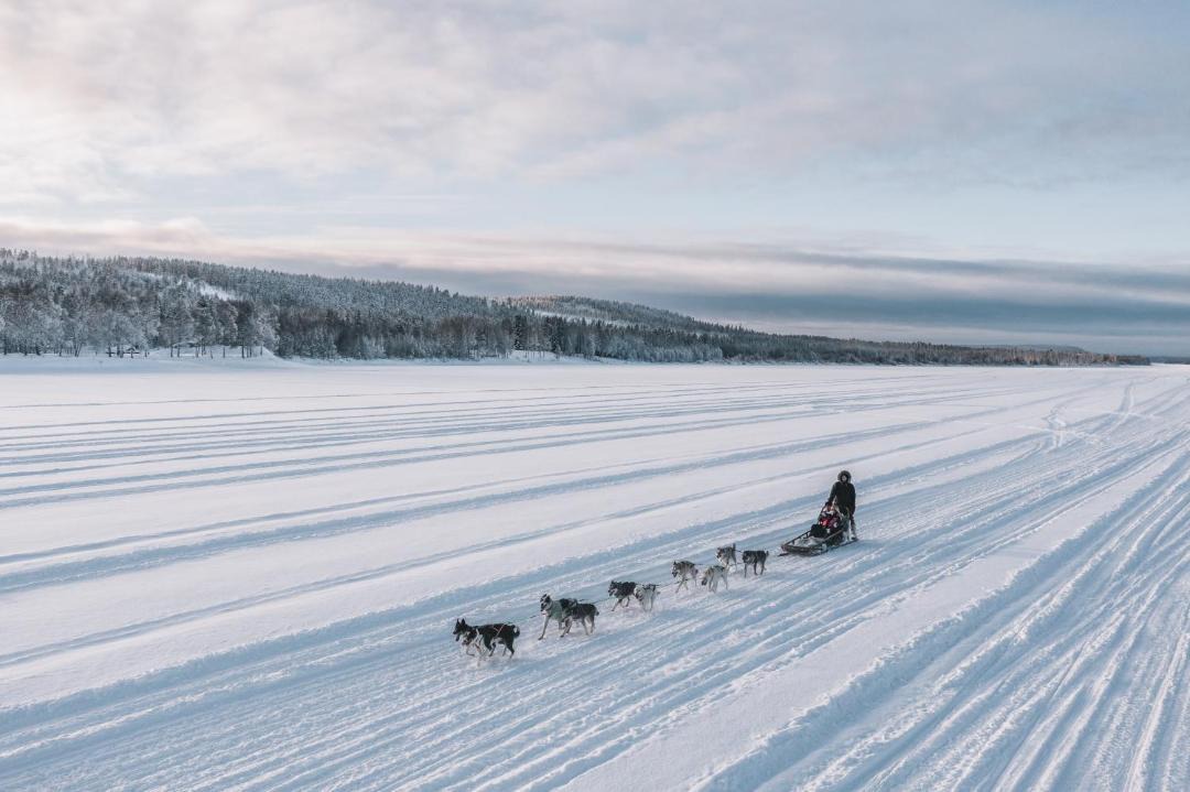 Photo of Others in Rovaniemi
