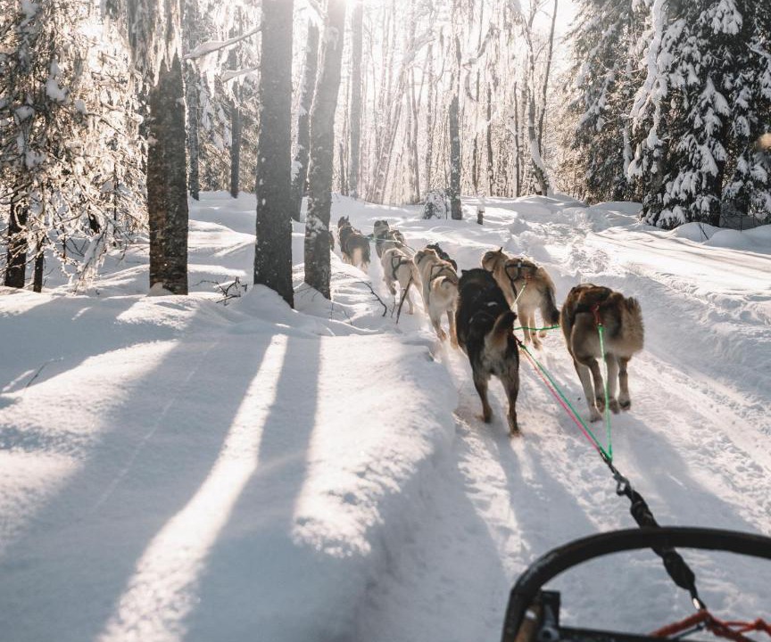 Photo of Others in Rovaniemi