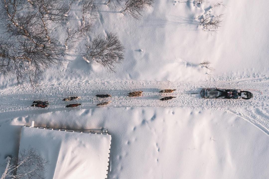 Photo of Others in Rovaniemi