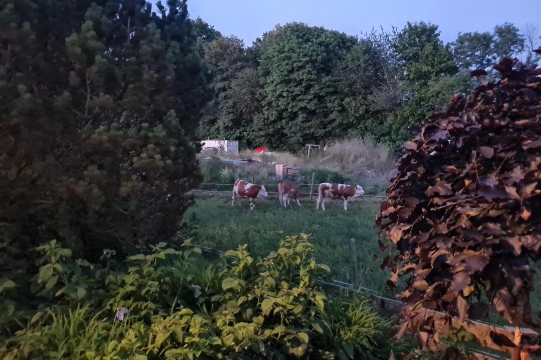 Photo of Others in Rosenheim
