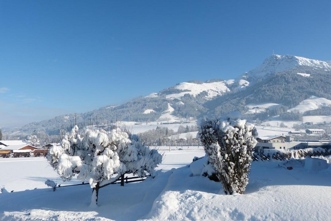 Photo of Others in Oberndorf in Tirol