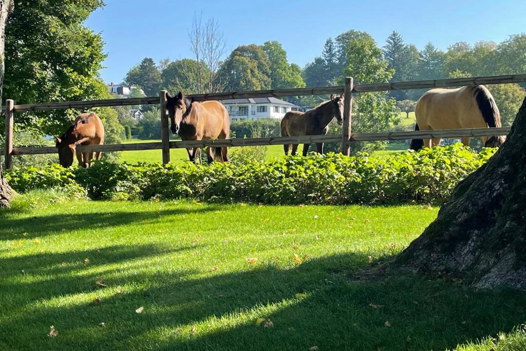 Photo of Others in Ammerland
