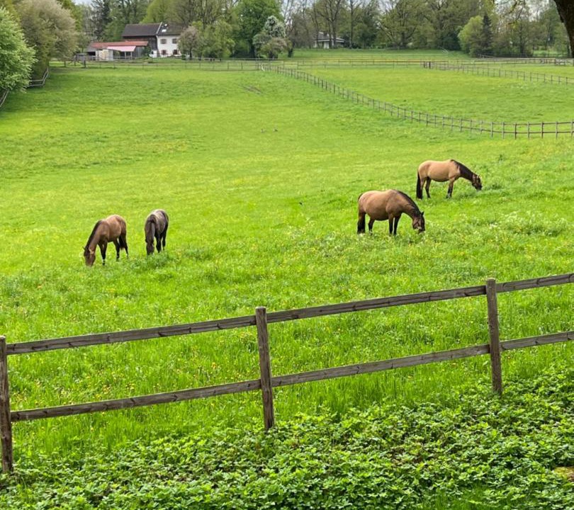 Photo of Others in Ammerland