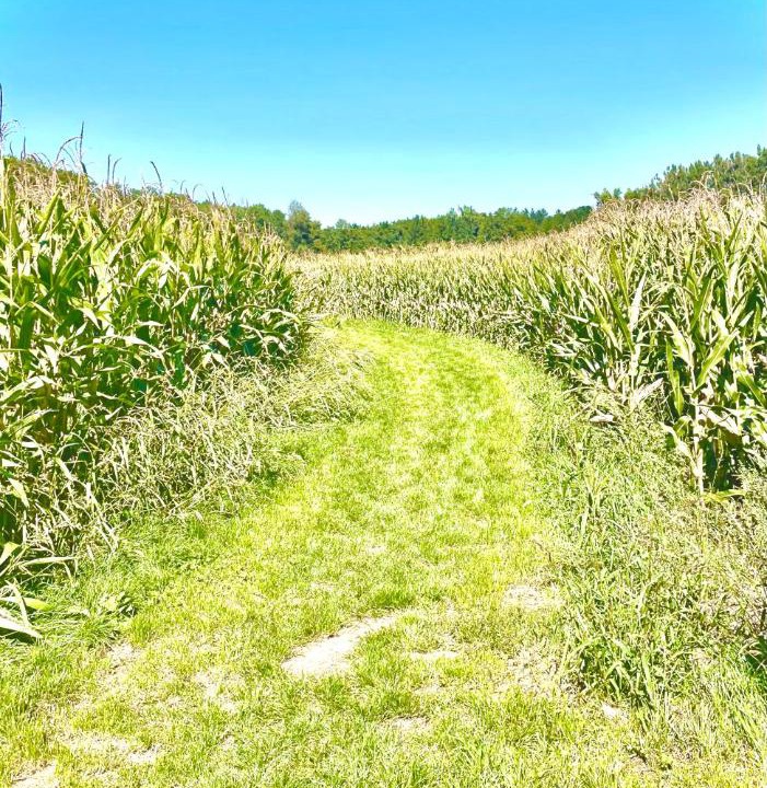 Photo of Outdoor in Ebersberg District