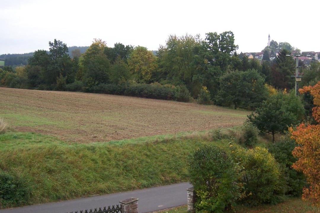 Photo of Others in Pleystein