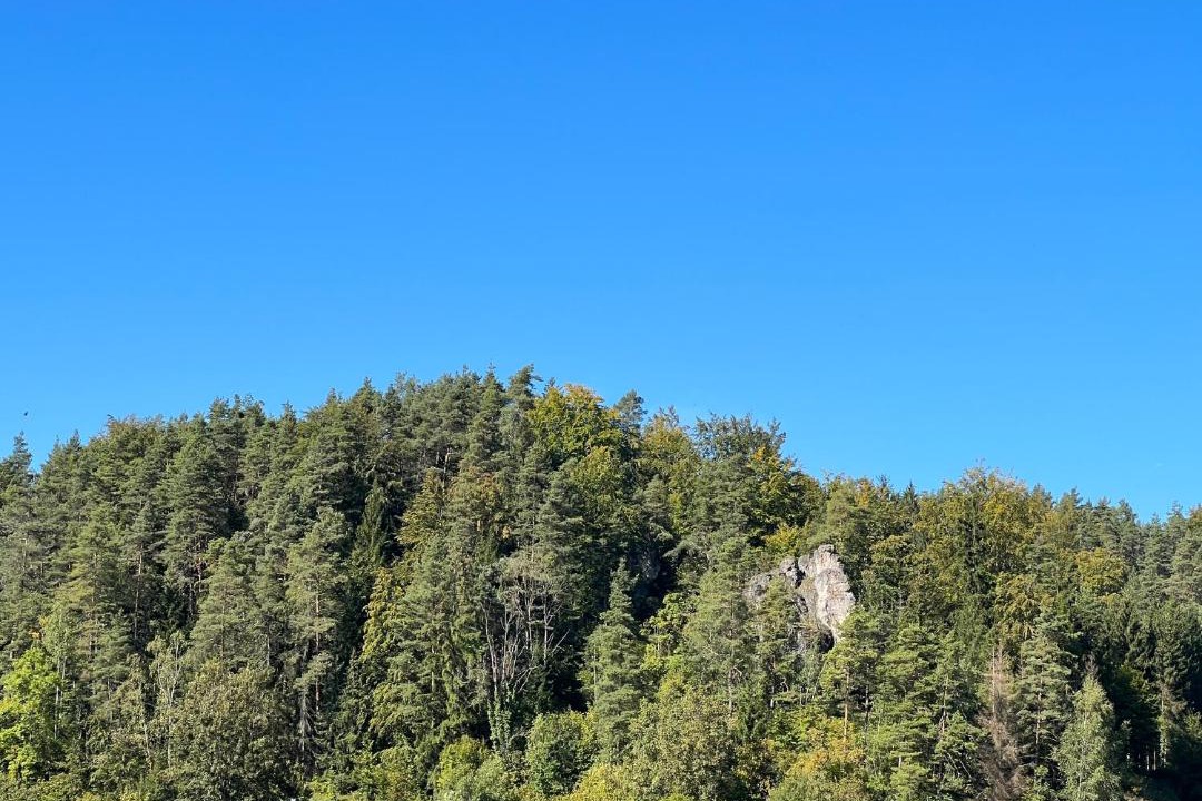 Photo of Outdoor in Hirschbach