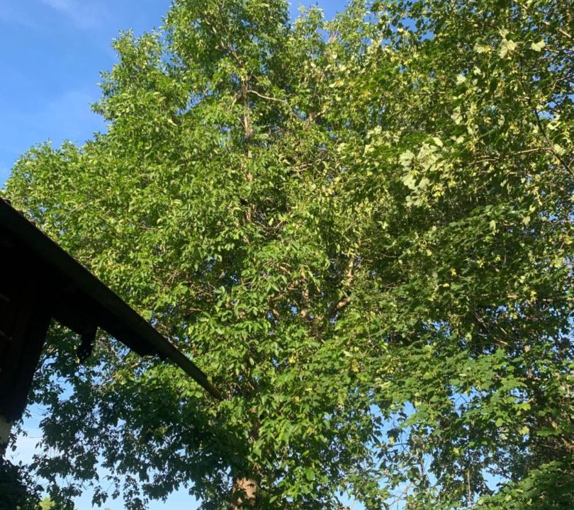 Photo of Outdoor in Windach