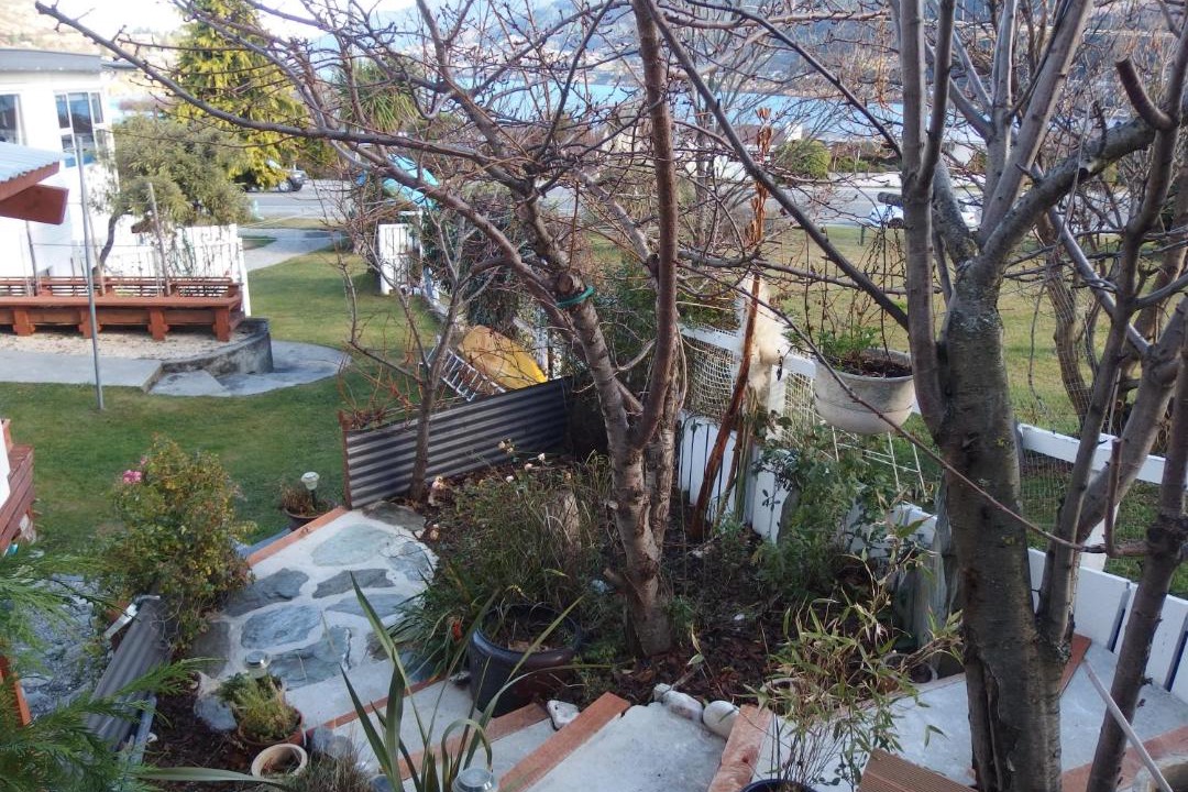 Photo of Others in Frankton
