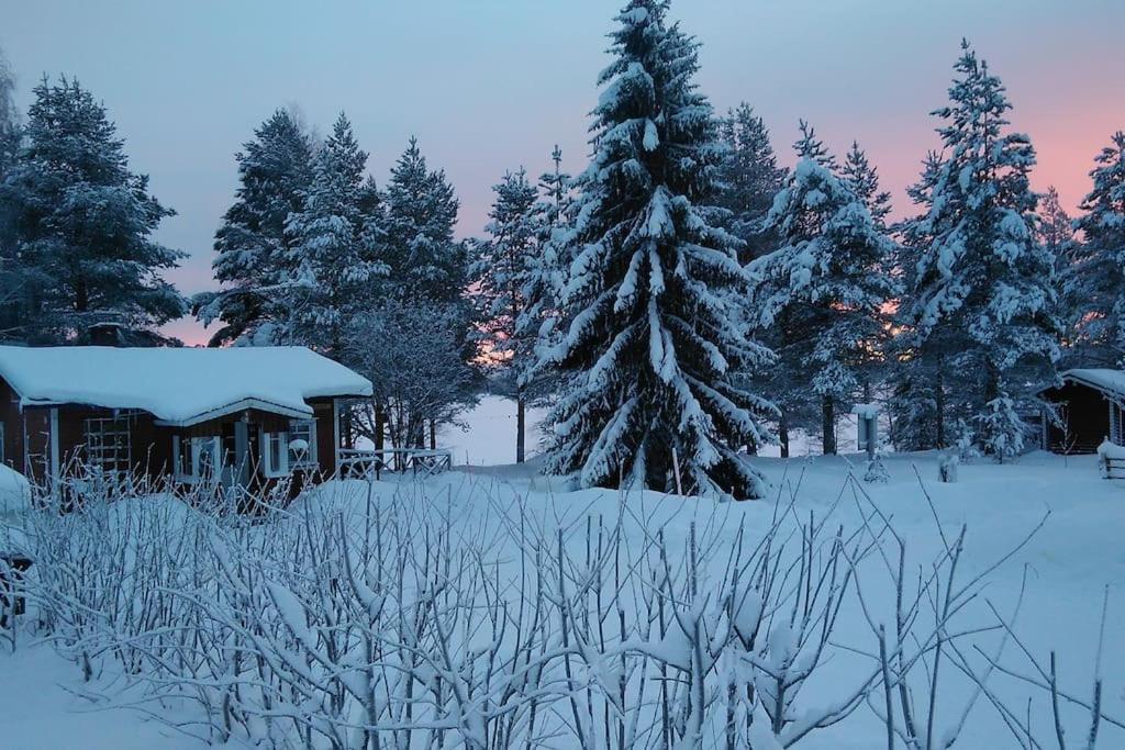 Photo of Others in Rovaniemi