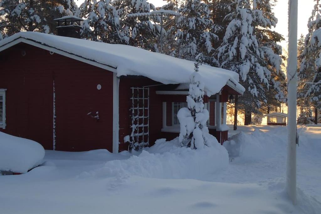 Photo of Others in Rovaniemi