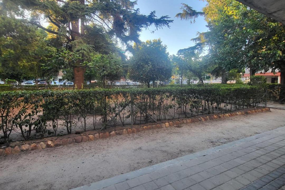Photo of Others in Pueblo Nuevo