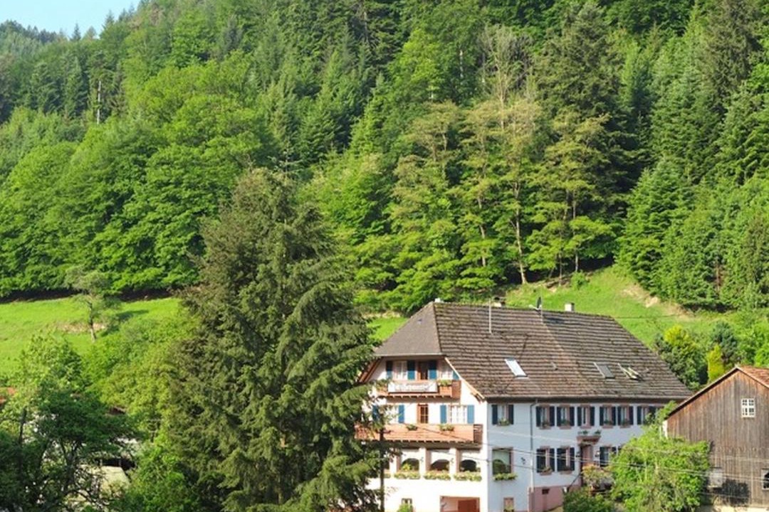 Photo of Buildings in Seelbach