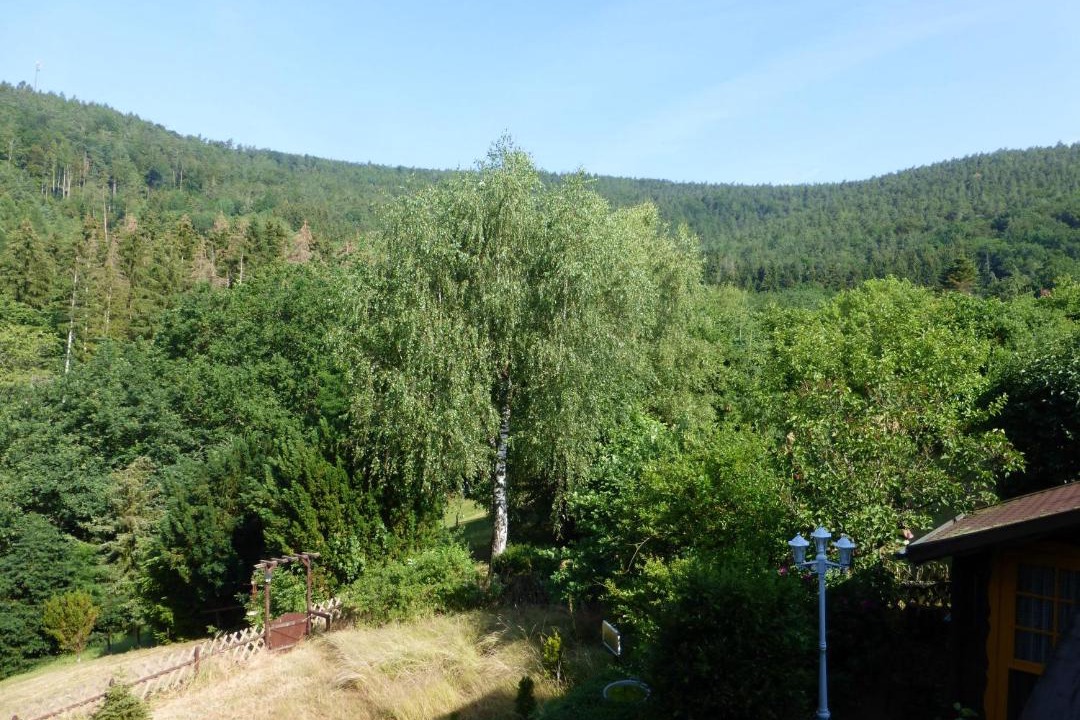 Photo of Others in Kirchzell