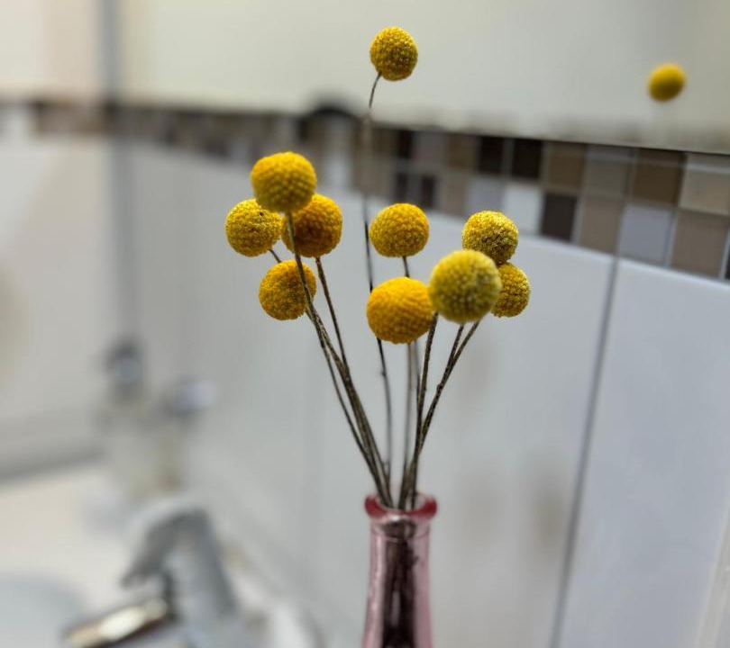 Photo of Bathroom in Alpbach
