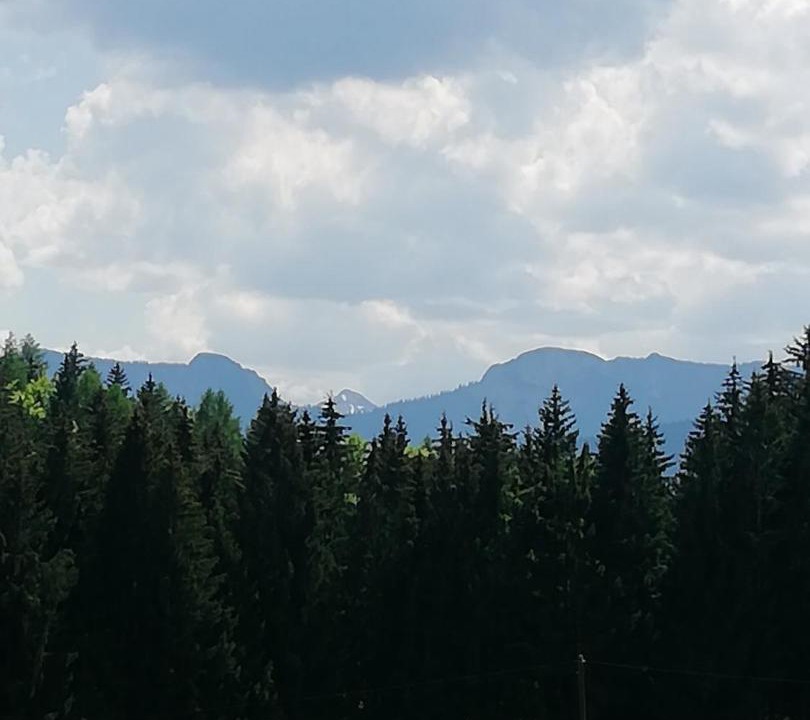 Photo of Others in Siegsdorf