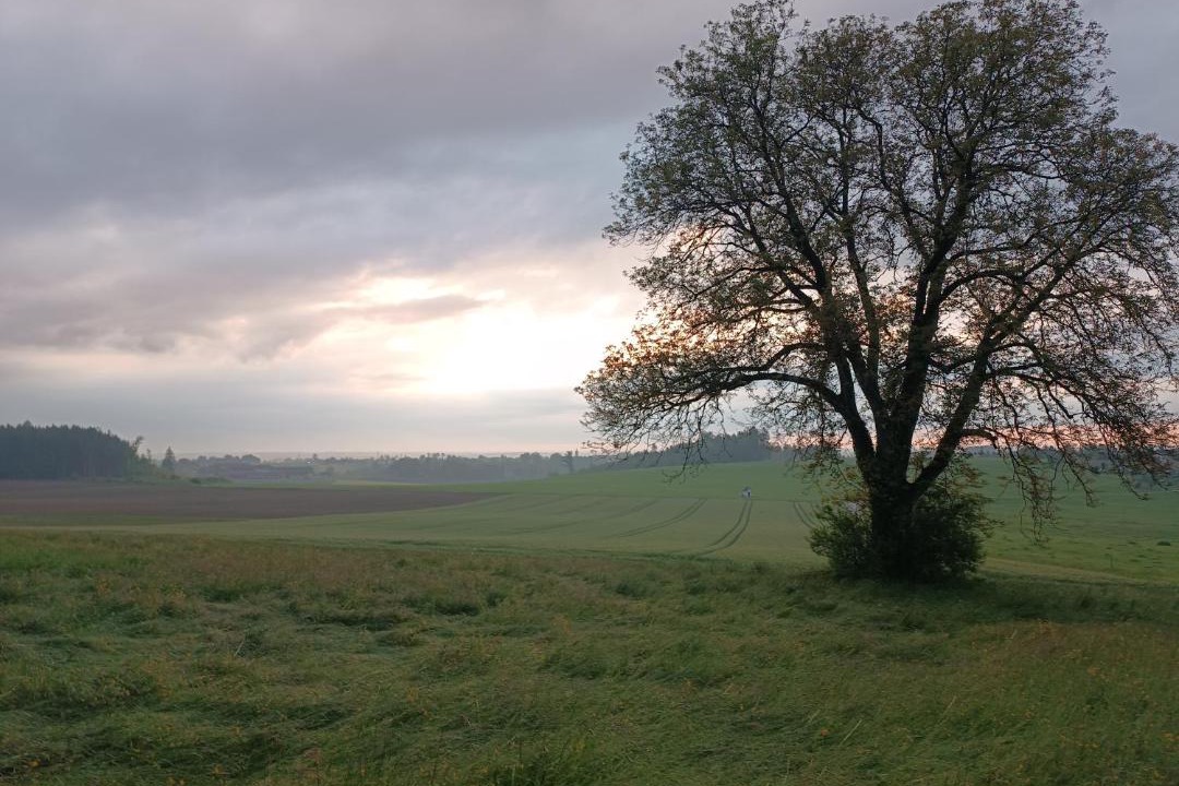 Photo of Others in Soechtenau