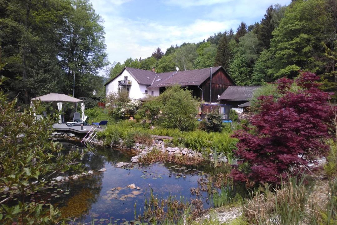 Photo of Others in Schoellnach