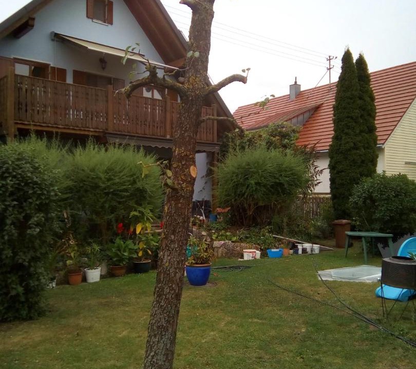 Photo of Others in Noerdlingen