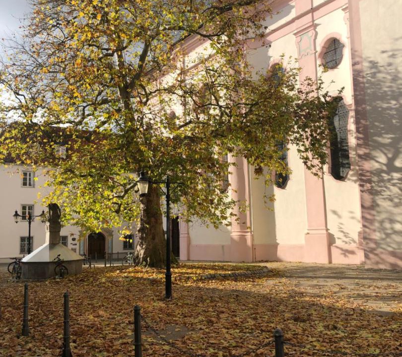 Photo of Buildings in Guenzburg