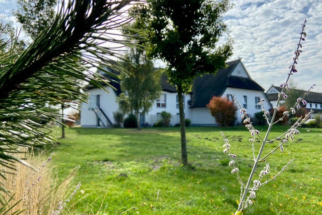 Photo of Others in Trassenheide