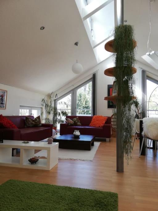 Photo of Livingroom in Passau