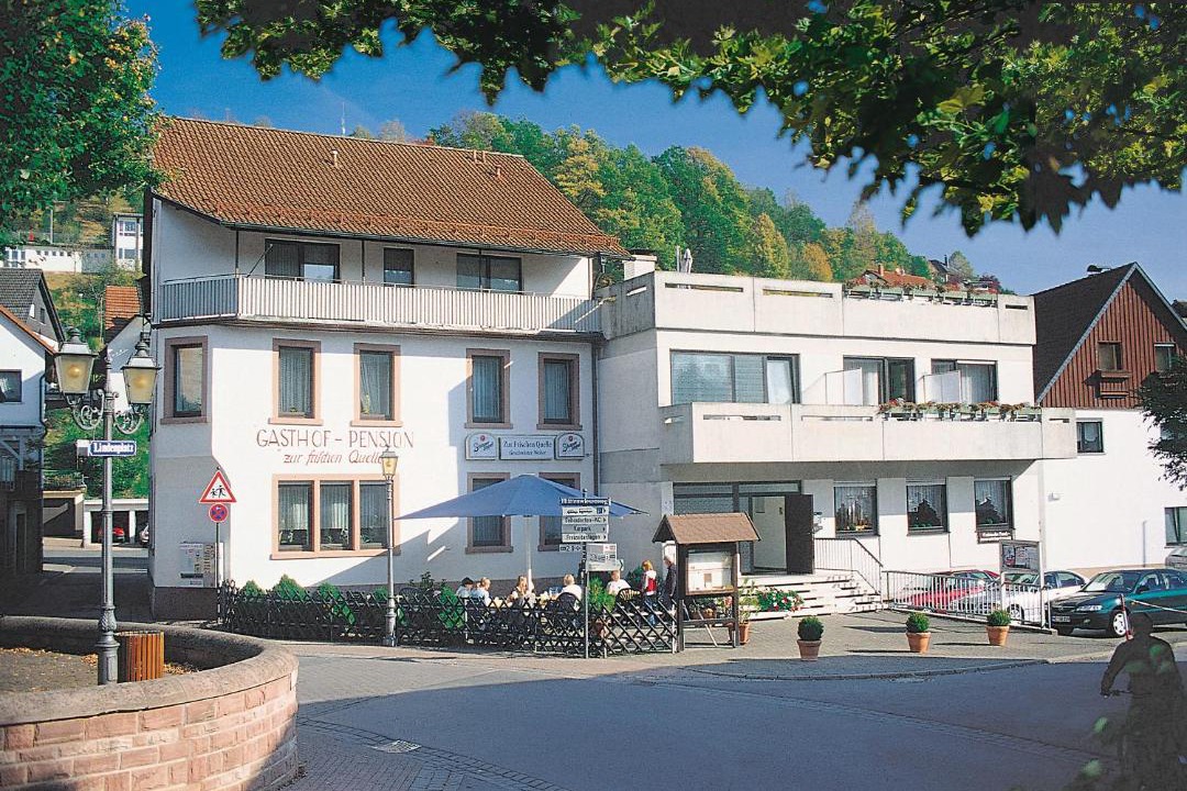 Photo of Buildings in Heigenbruecken