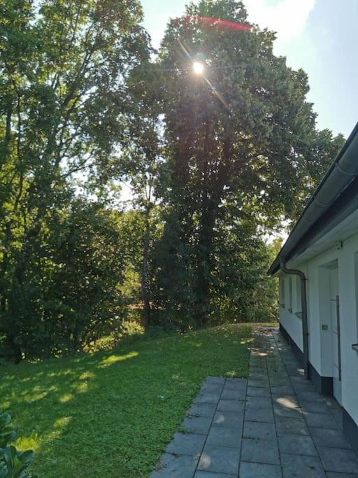 Photo of Others in Schwend