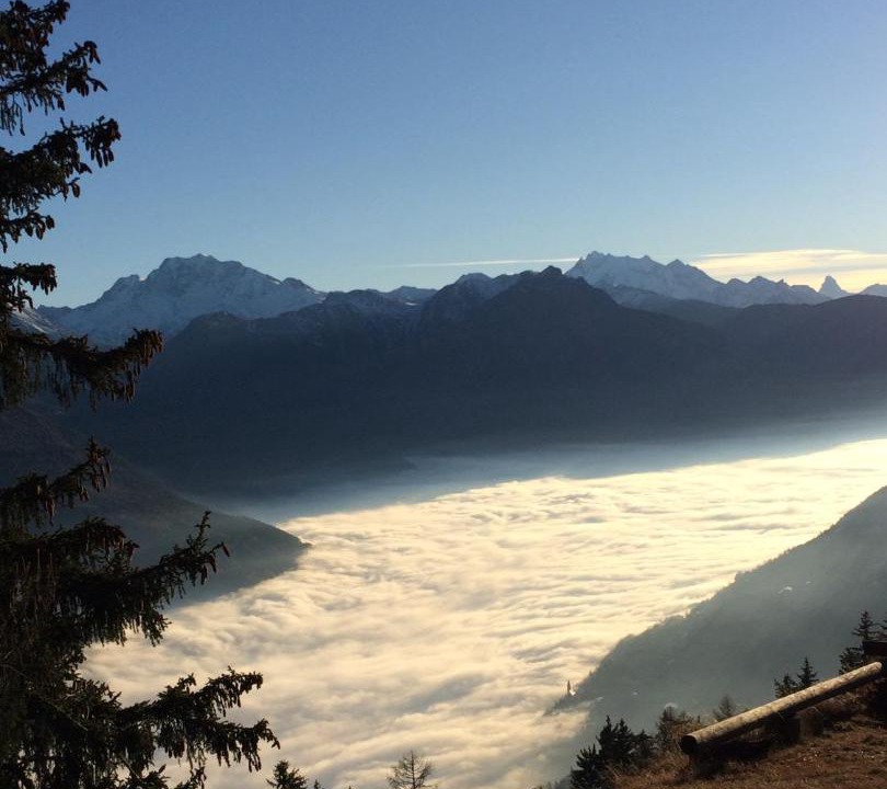 Photo of Others in Riederalp