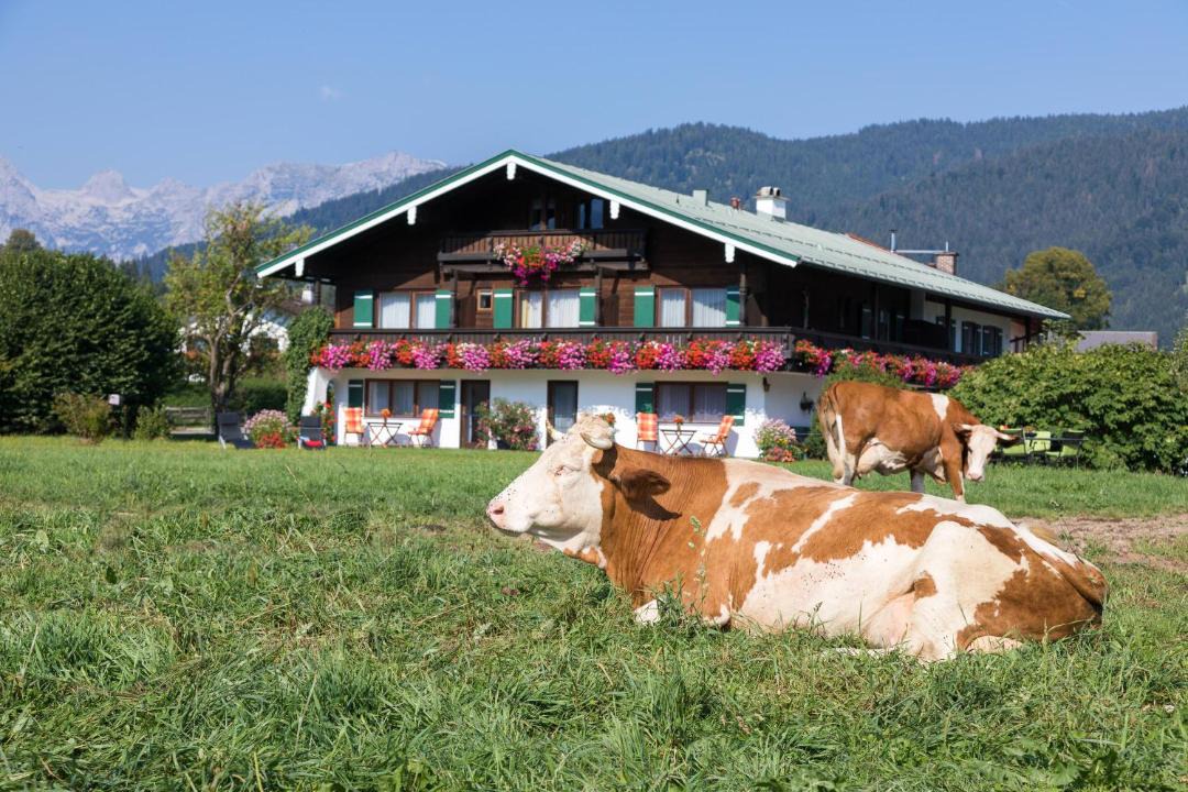 Photo of Others in Oberschonau