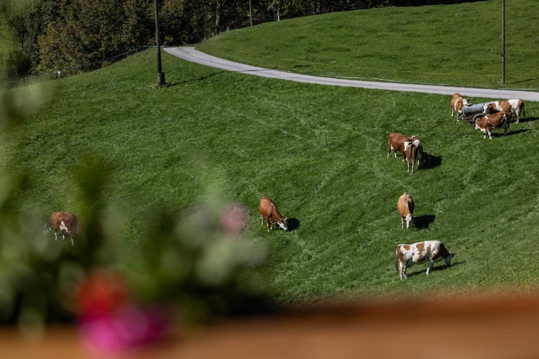 Photo of Others in Bischofswiesen