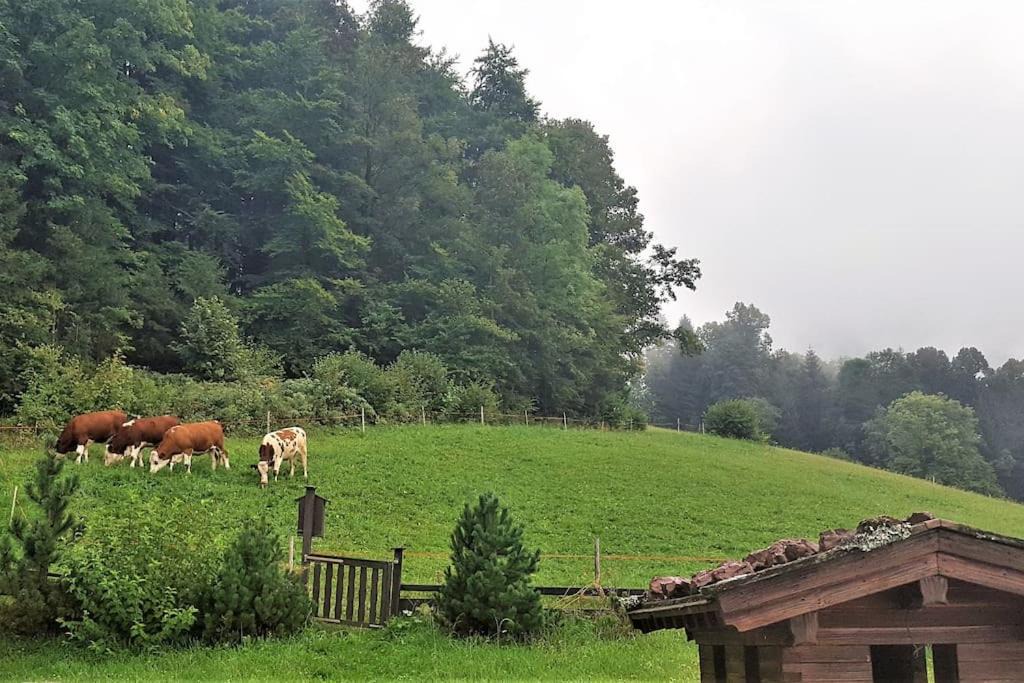 Photo of Others in Schoenau am Koenigssee