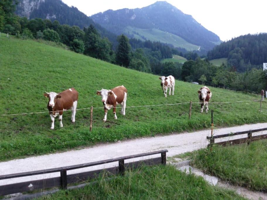 Photo of Others in Schoenau am Koenigssee