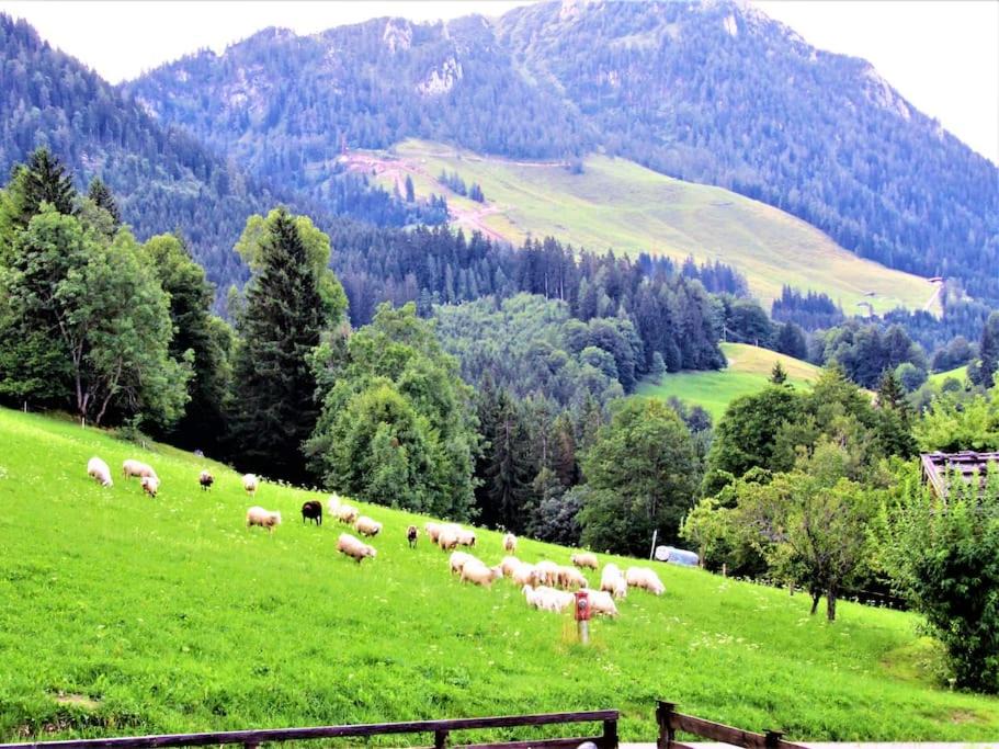Photo of Others in Schoenau am Koenigssee