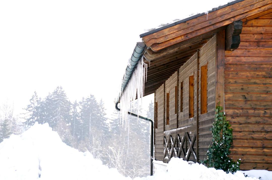 Photo of Buildings in Neukirchen vorm Wald
