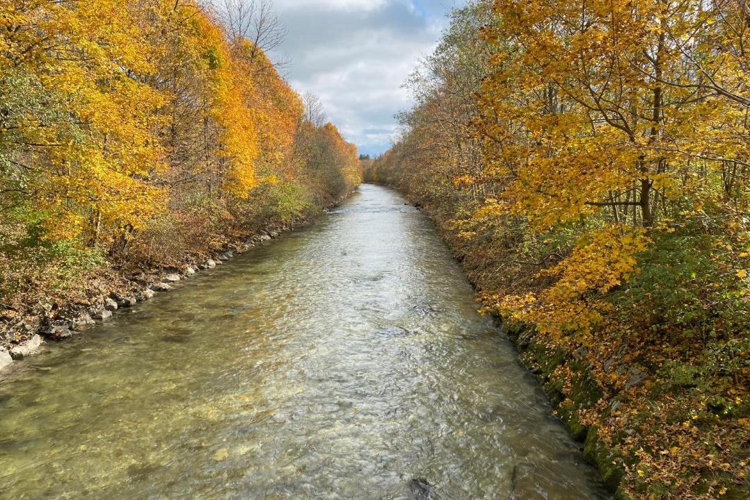 Photo of Outdoor in Meilingen