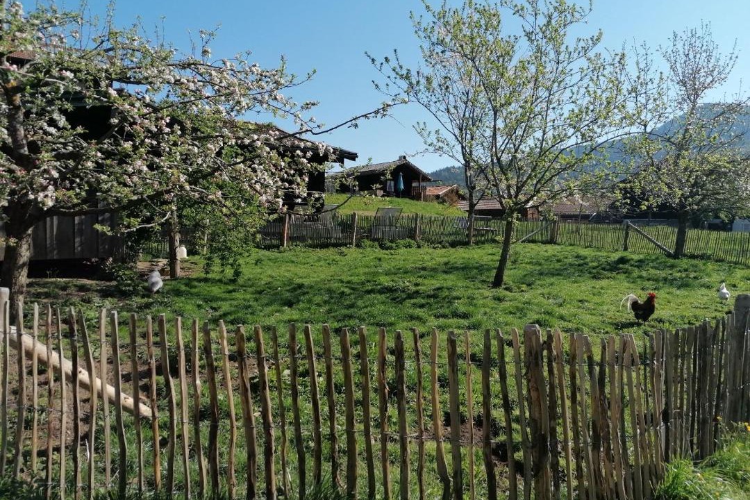 Photo of Others in Ruhpolding