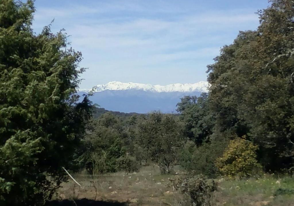 Photo of Others in San Roman de Los Montes
