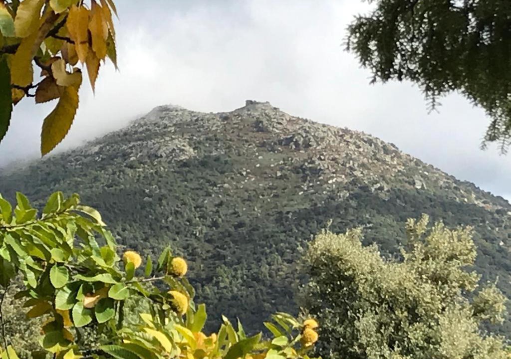 Photo of Others in San Roman de Los Montes