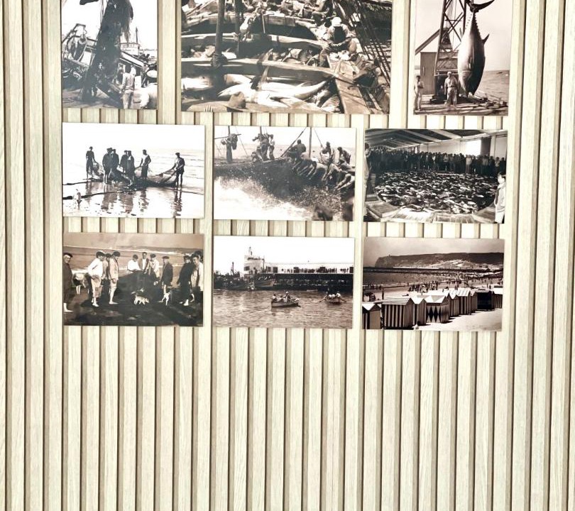 Photo of Others in Barbate