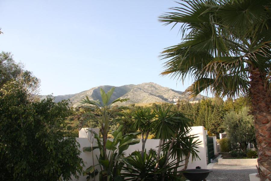 Photo of Others in Mijas