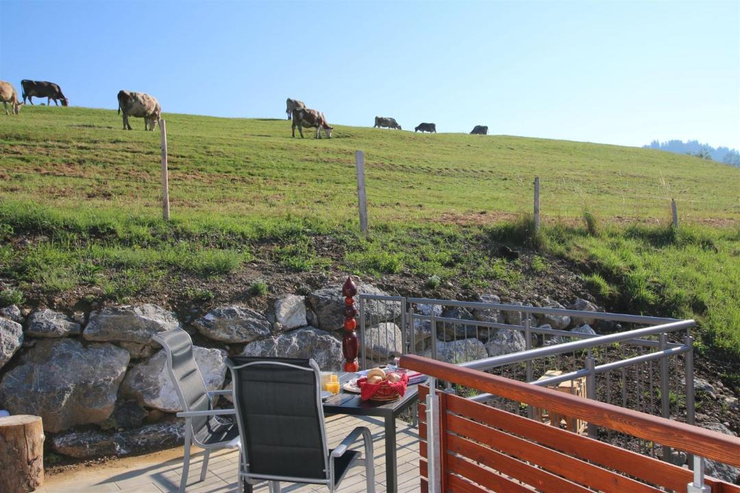 Photo of Patio Balcony in Kalzhofen
