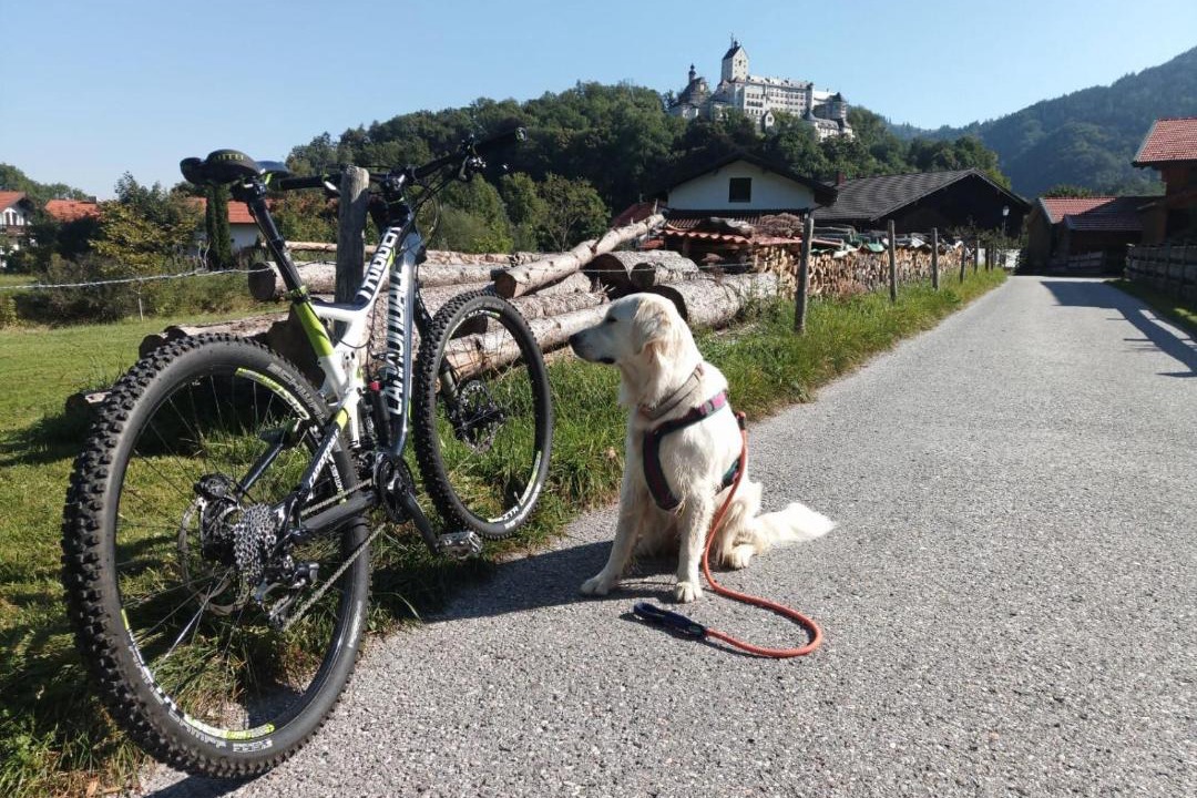 Photo of Others in Aschau im Chiemgau