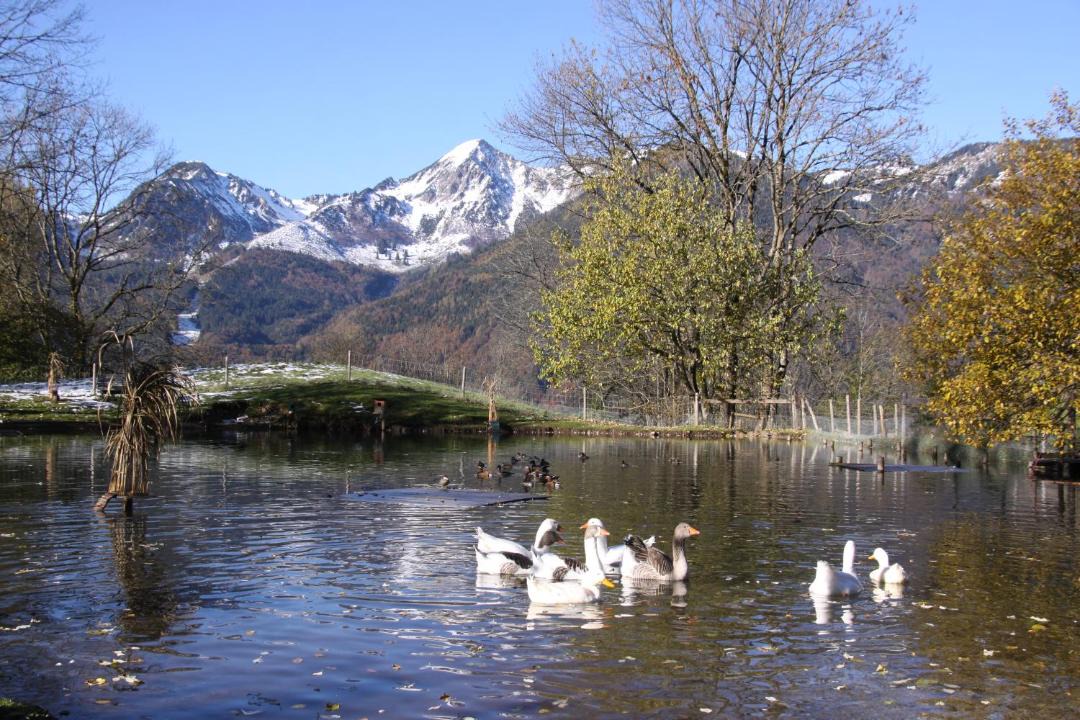 Photo of Outdoor in Ettenhausen