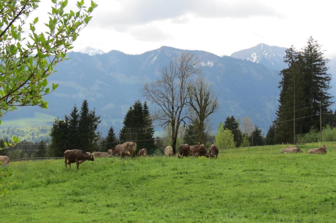 Photo of Others in Ofterschwang