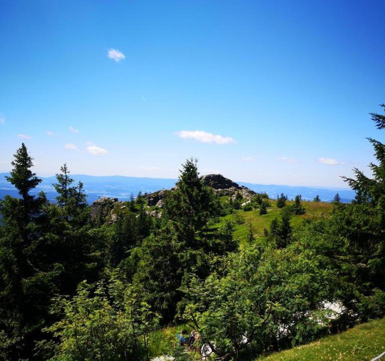 Photo of Outdoor in Zachenberg