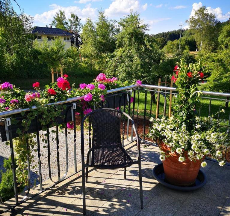 Photo of Patio Balcony in Zachenberg