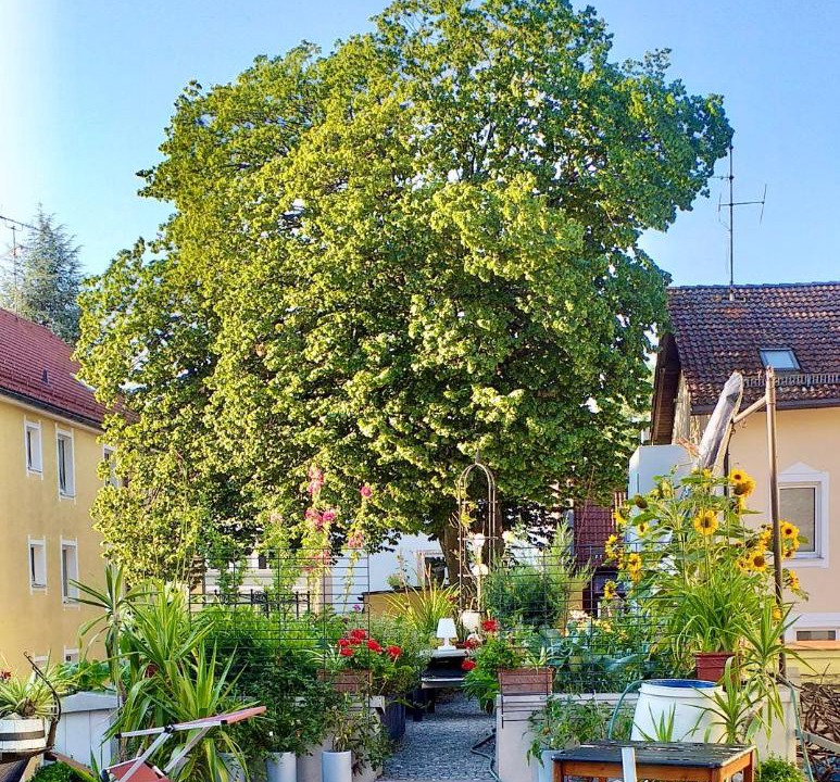 Photo of Others in Kempten