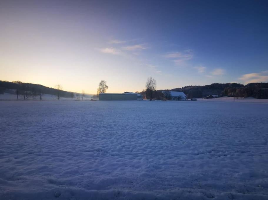 Photo of Outdoor in Unterallgau